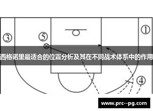 西格诺里最适合的位置分析及其在不同战术体系中的作用